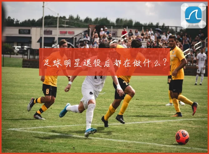 足球明星退役后都在做什么？